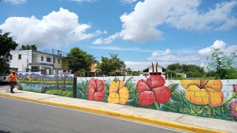 La transformación y el orden que vive Santiago también ha llegado a sus barrios