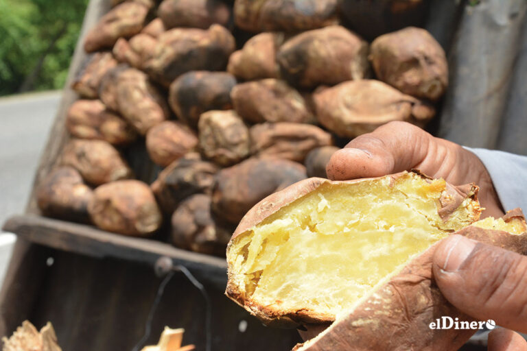 Villa Altagracia explora potencial turístico, sobre lo comercial, de la batata asada