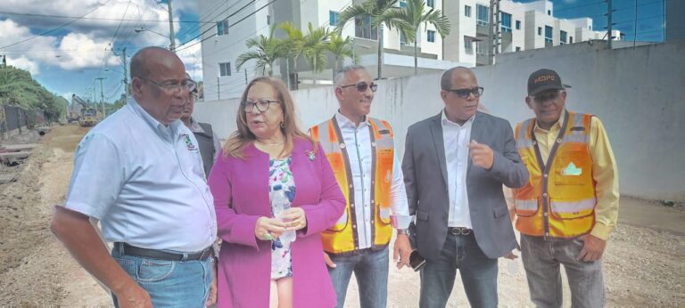 Rosa Santos dice no hay razones para protestas en Santiago