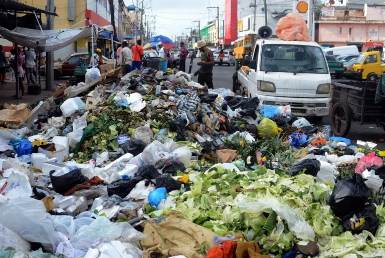 Piden camión recolector para sacar la basura que dicen arropa a Monte Grande