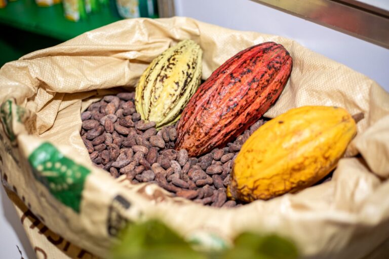 Arranca la semana más dulce del año con el 5to Festival de Chocolate Dominicano