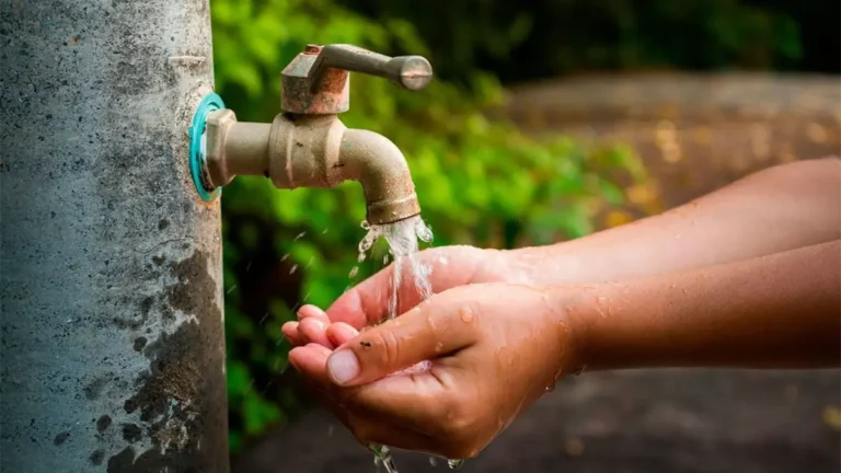 Car Wash: De lavaderos de vehículos a espacios de diversión y espectáculos