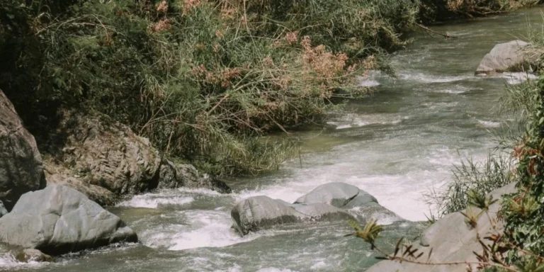 Infectólogos advierten sobre bacterias halladas en ríos, sugieren medidas