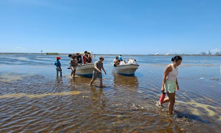 Invertirán US$ 50 millones para enfrentar el sargazo en el Caribe, iniciando en RD