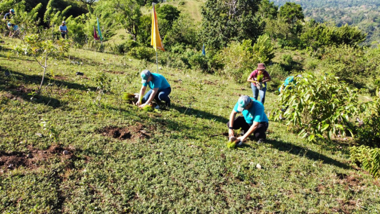 Edenorte realiza jornada de reforestación en provincia Duarte; se sembraron 4,500 pinos caribeños