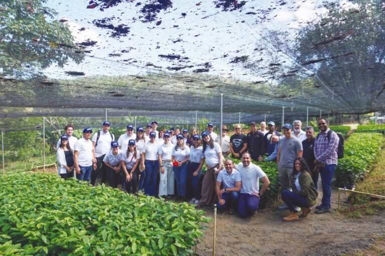 Seguros Monumental realiza jornada de reforestación