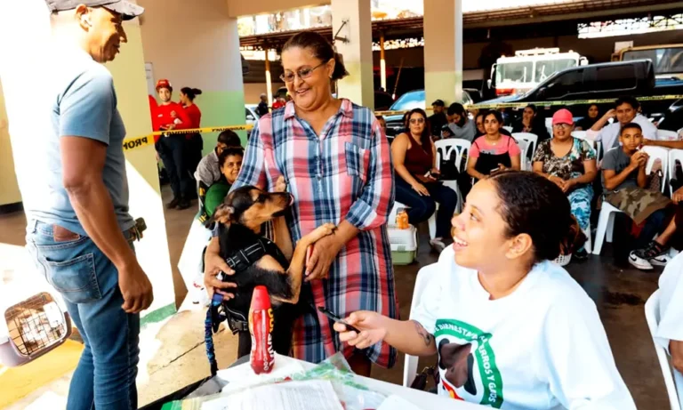 ADN continúa con esterilización para perros y gatos