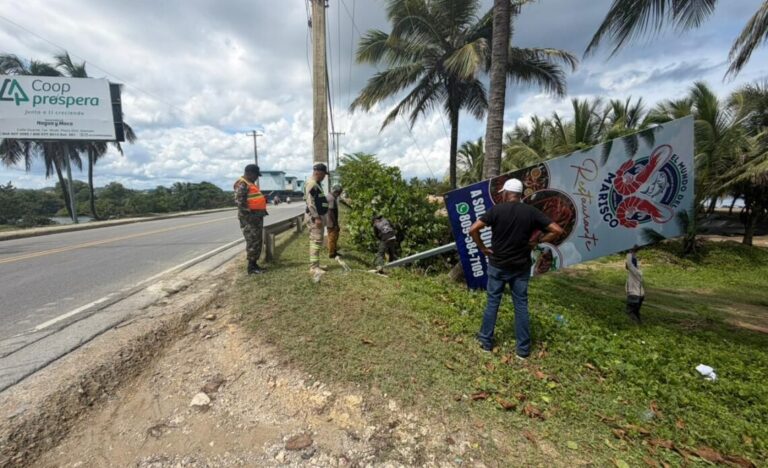 Intrant, RD Vial y MOPC siguen retirando exceso de vallas en carreteras del país