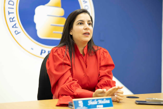 Regidora del DN muestra preocupación plazoleta que limita el acceso y las maniobras de los camiones de bomberos, en cuartel del sector los Ríos