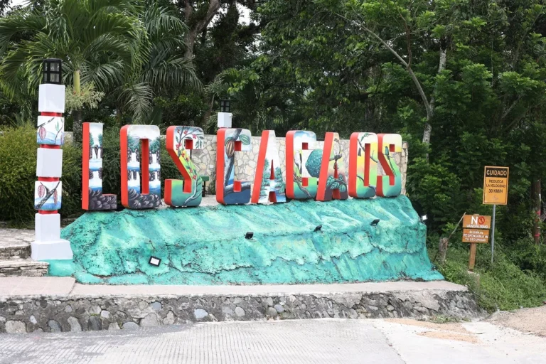 Los Cacaos, 100 años entre montañas, café y manantiales