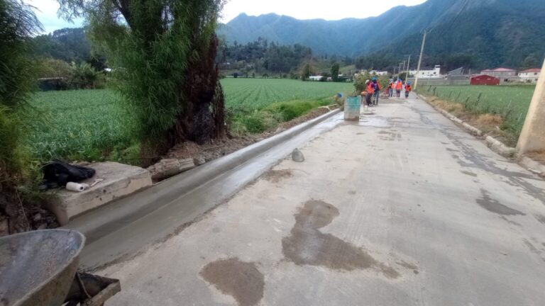 Alcaldía de Constanza Continúa Trabajando en las Auyamas