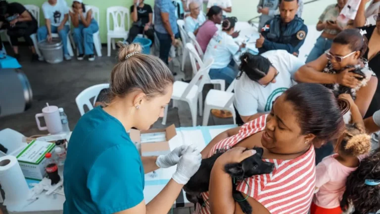 ADN esteriliza 100 perros y gatos en jornada de bienestar animal