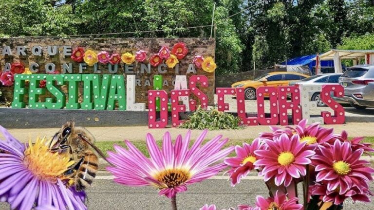Jarabacoa inicia hoy celebración de los 15 años del Festival de las Flores