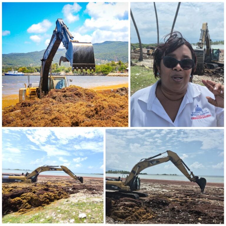 Operativo contra el sargazo permite retirar más de 4 mil toneladas métricas de las costas de Barahona