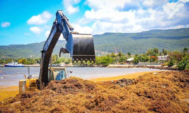 Retiran de las playas de la costa de Barahona 4,246 toneladas de sargazo