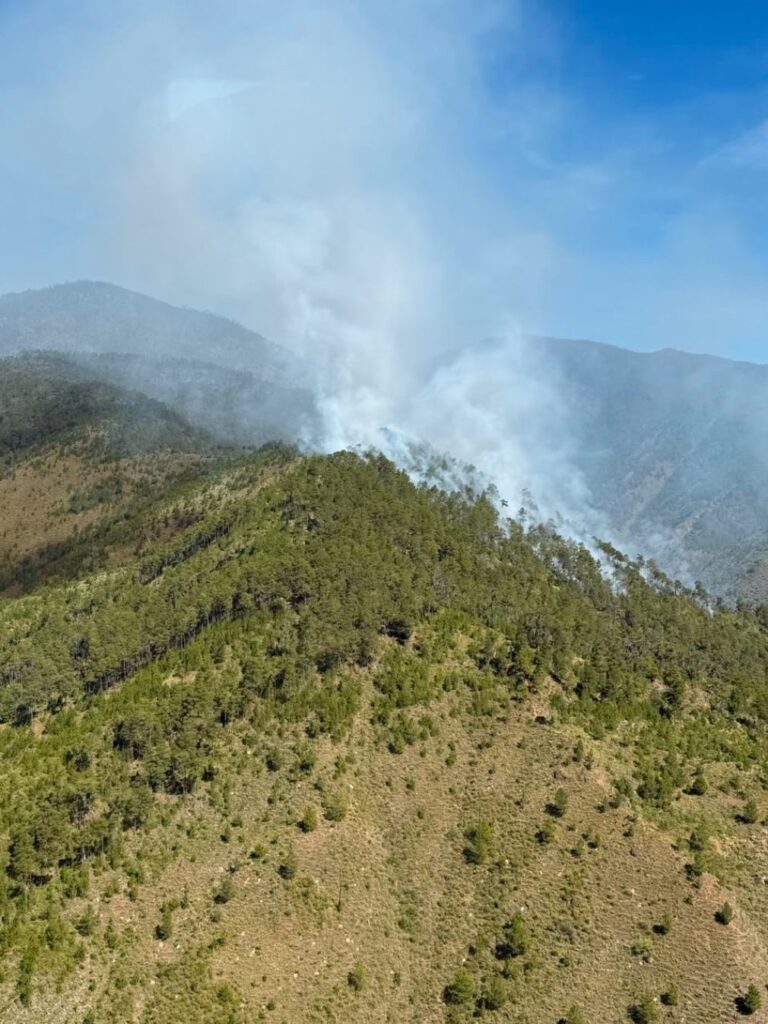 Controlan incendio forestal en el Valle del Tetero, Parque Nacional José del Carmen Ramírez
