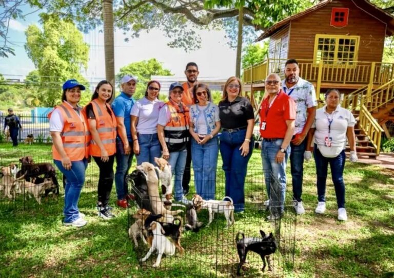 Alcaldía de Santiago celebra sexta Feria de Adopción Canina