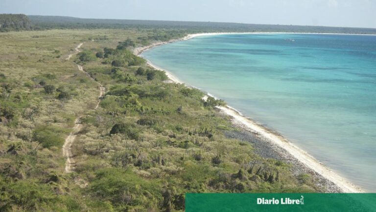 Tribunal Constitucional confirma fallo que ordena actualizar límites del Parque Jaragua