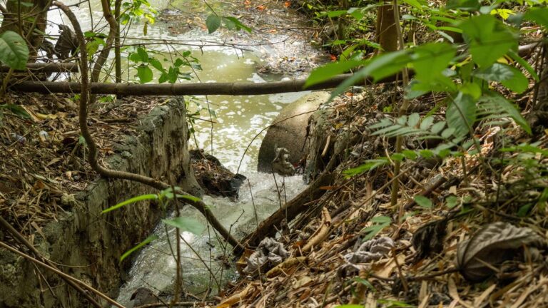 Las aguas residuales que envenenan los ríos y contaminan el subsuelo del Gran Santo Domingo