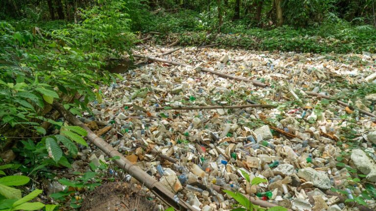 La cañada de Arroyo Manzano lleva varios meses con basura estancada