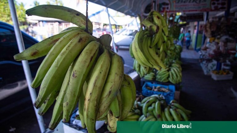 De persistir la sequía, los plátanos podrían costar hasta RD$50