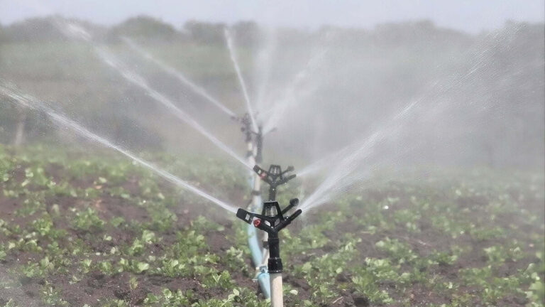 La sequía golpea al sector agropecuario y comienza a presionar a los productores