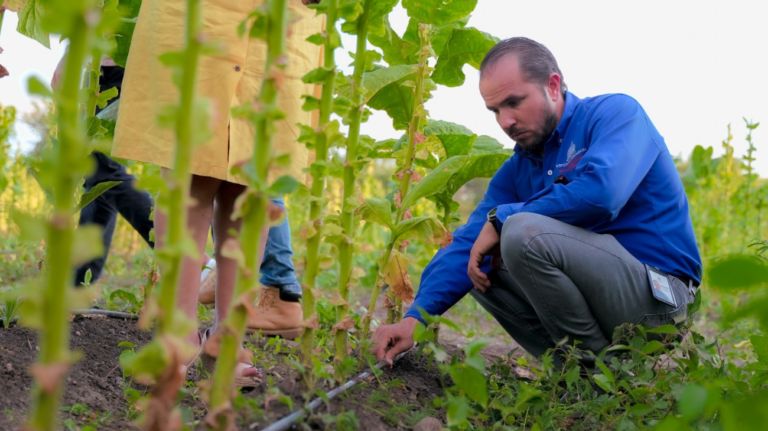 Tecnificación Nacional de Riego valora compromiso del Gobierno de invertir más de 470 millones de dólares en modernización agrícola