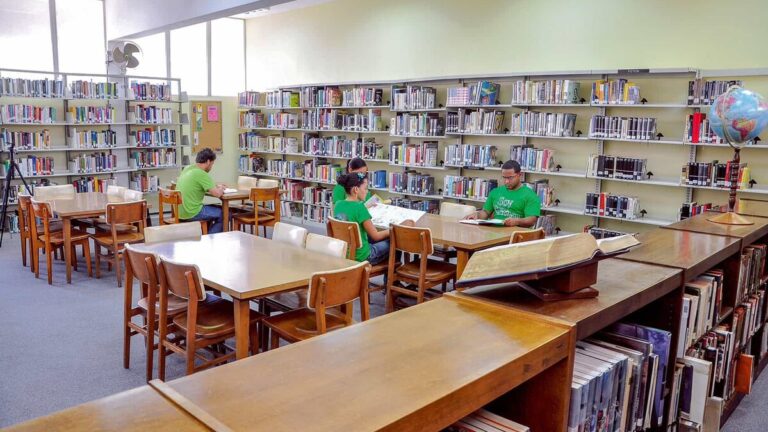 Las alcaldías dejan morir las bibliotecas públicas municipales