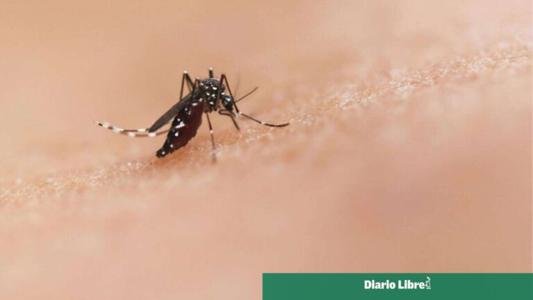 Salud Pública reporta 16 nuevos casos de dengue y eleva a 338 el acumulado de 2026